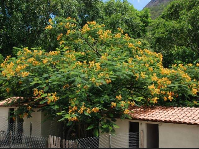 #074 - Sítio para Venda em Maricá - RJ